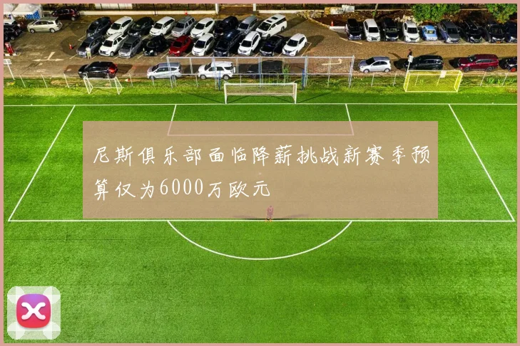 尼斯俱乐部面临降薪挑战新赛季预算仅为6000万欧元