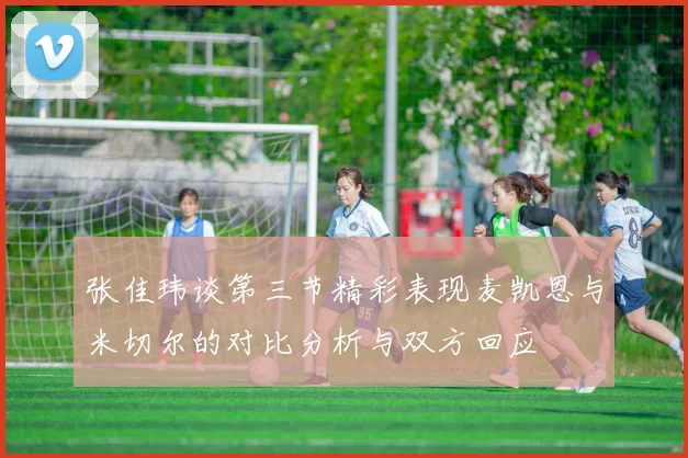 张佳玮谈第三节精彩表现麦凯恩与米切尔的对比分析与双方回应